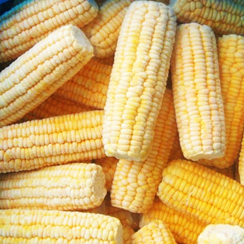 Bulk Super Sweet IQF Frozen Kernel Corn