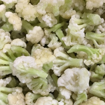 10kg Package IQF Broccoli Floret Frozen White Cauliflower