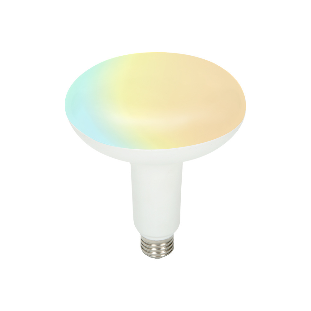 Smart Bulb Light Led Wifi Bulb 10W Color Changing RGB LED Bulb 120V APP Remote Compatible Alexa Google Home