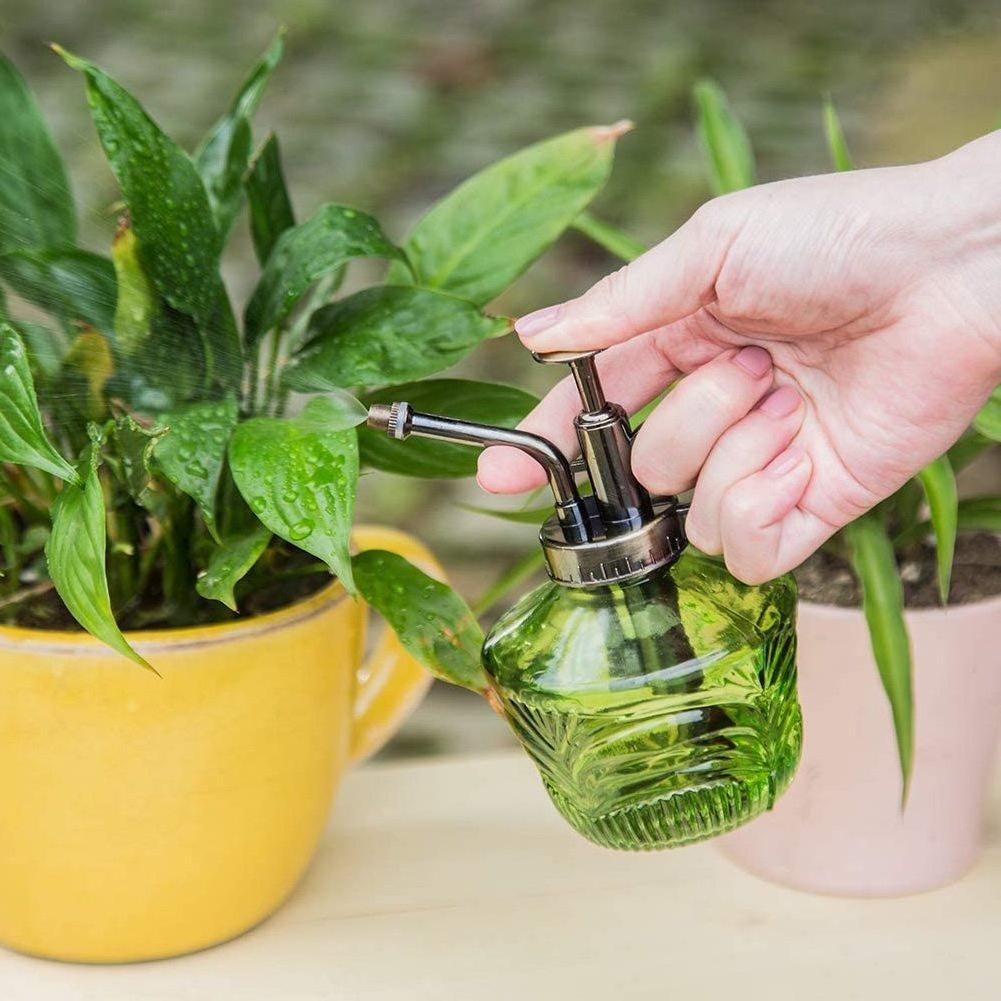 Glass Mini Watering Can Vintage Plant Mister Water Spray Bottle Self Watering Globe with Terracotta Spikes