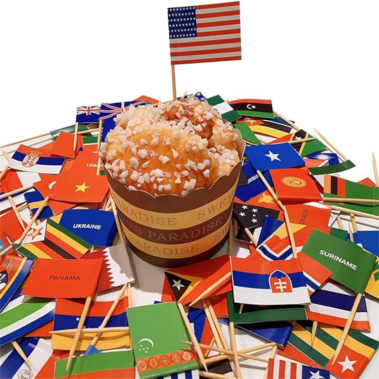 Different Countries Toothpick Flag Children's Party Decoration Cocktail Toppers Wood Toothpick Flag