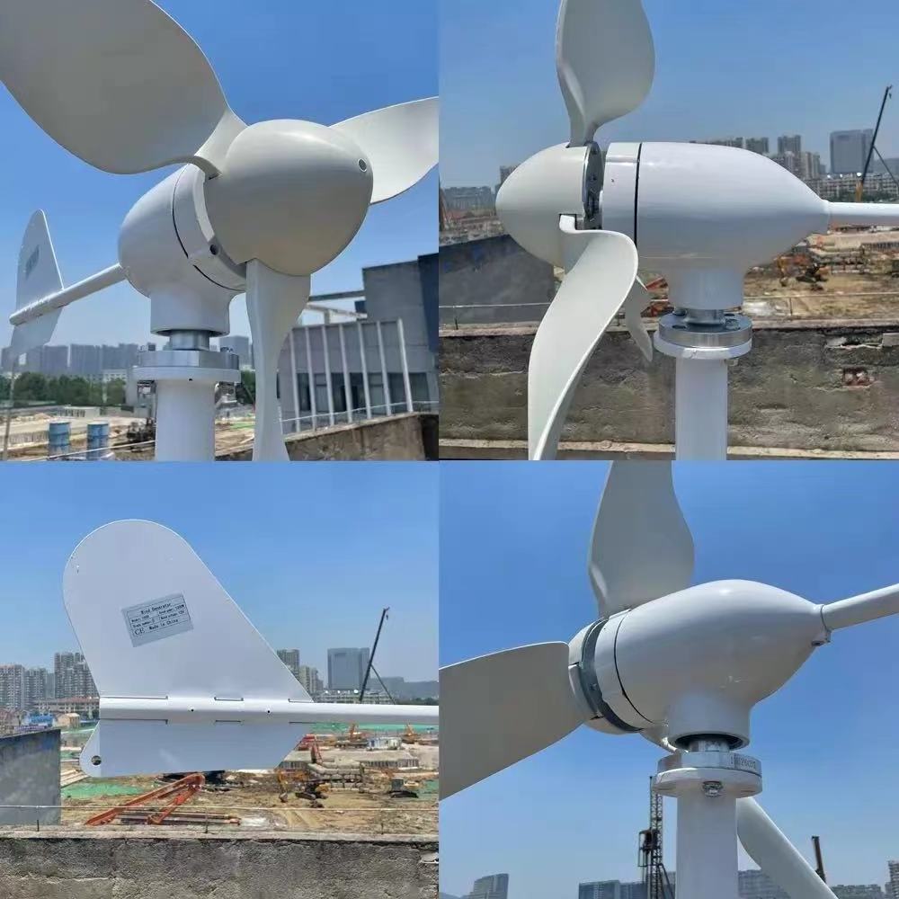 1000w Alternative energy generator Horizontal Wind Turbine 12v/24v/48v Wind Power Turbine Generator With MPPT Controller