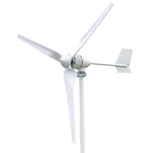 1000w Alternative energy generator Horizontal Wind Turbine 12v/24v/48v Wind Power Turbine Generator With MPPT Controller