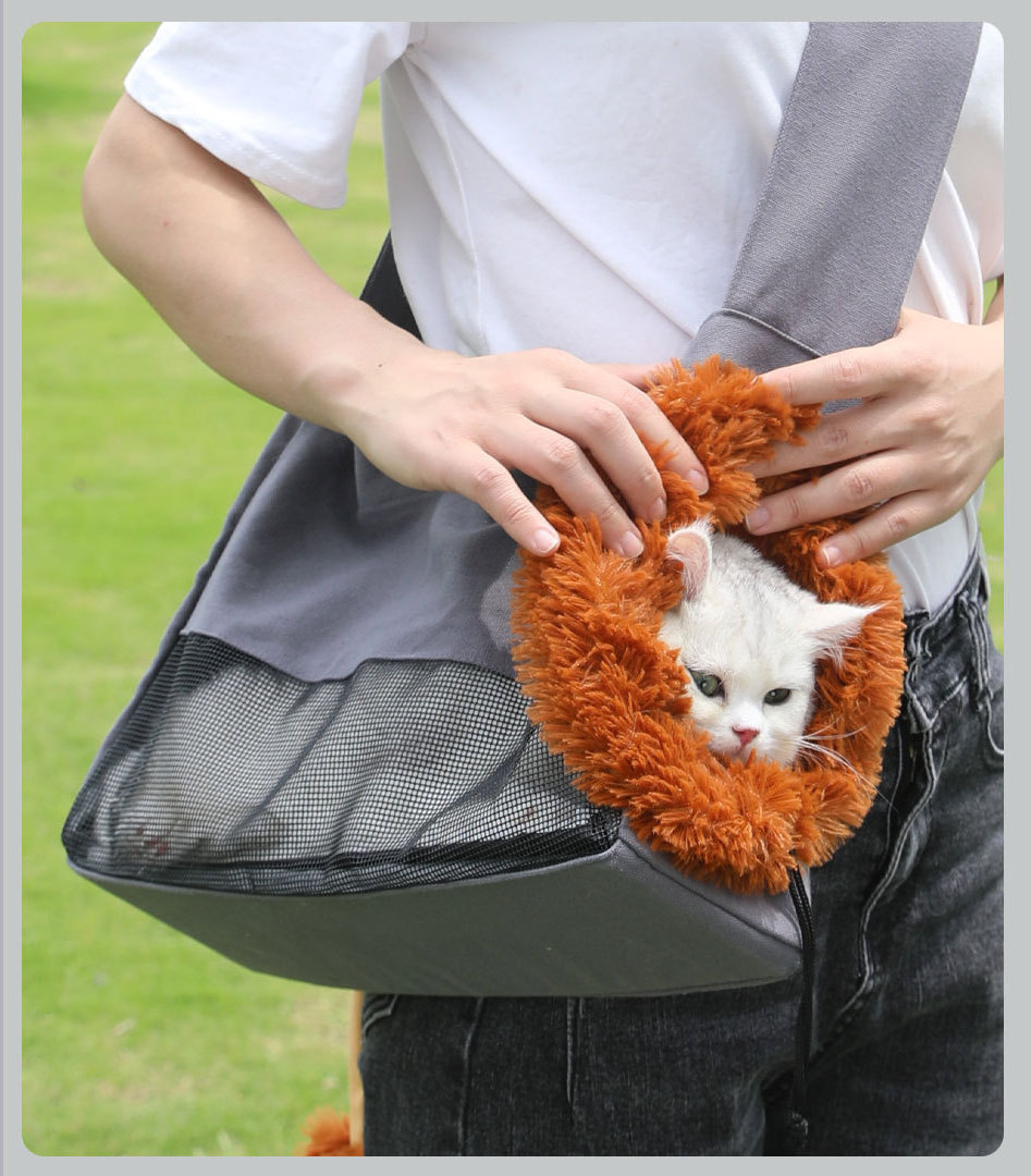 Pet Outgoing Backpack Bag Portable Foldable Breathable Cloth Puppet Cartoon Lion Cat Canvas Bag