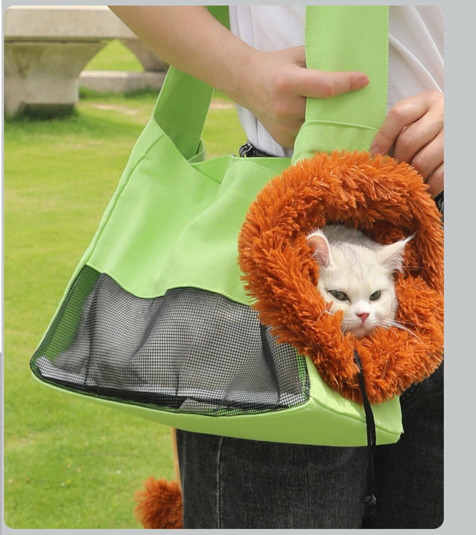 Pet Outgoing Backpack Bag Portable Foldable Breathable Cloth Puppet Cartoon Lion Cat Canvas Bag