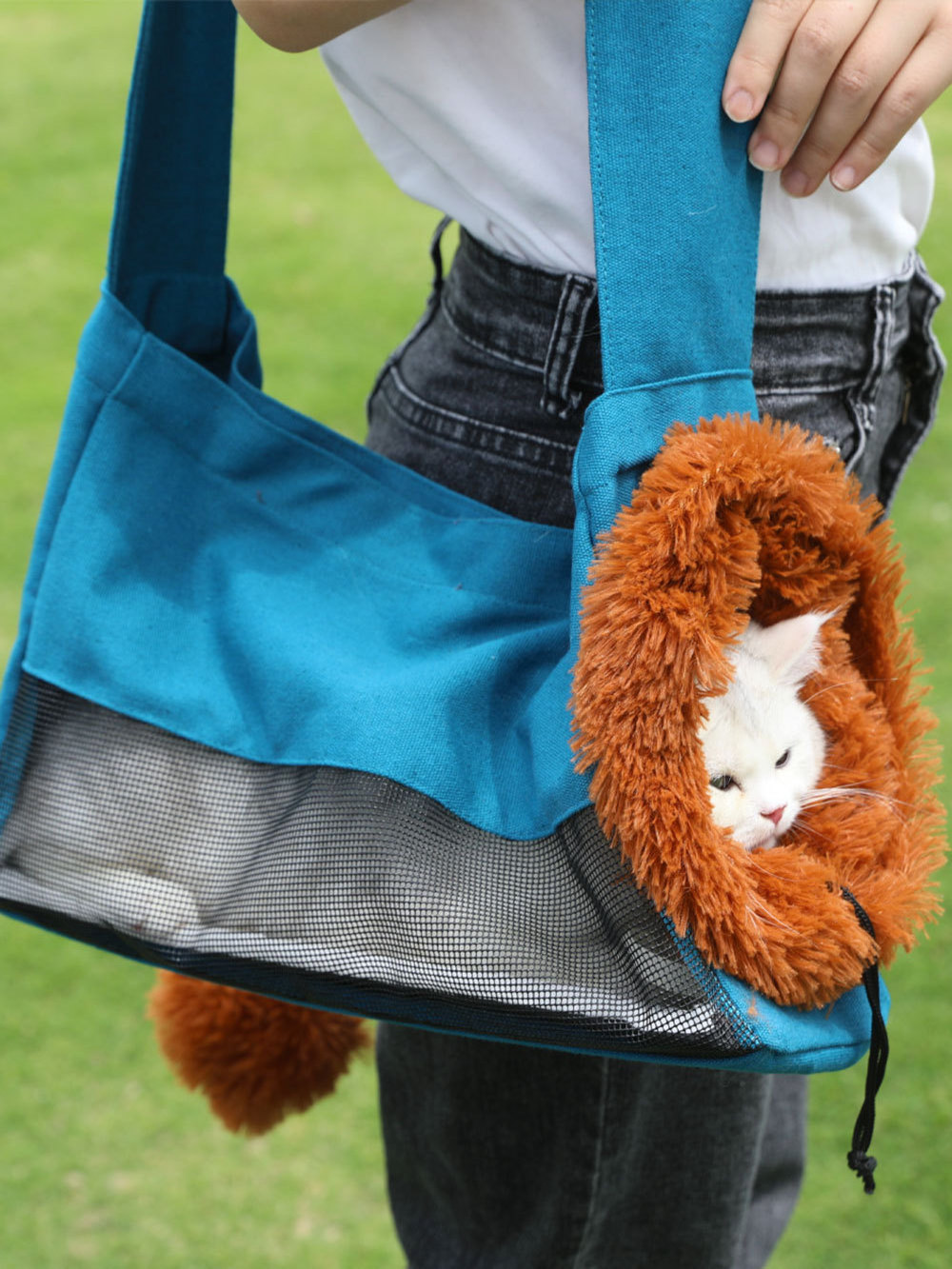 Pet Outgoing Backpack Bag Portable Foldable Breathable Cloth Puppet Cartoon Lion Cat Canvas Bag