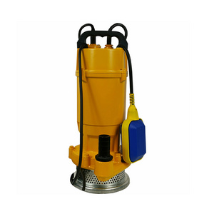 Qdx Series Low Head High Volume 2 Inch Diameter 0.75Kw 1Hp Ac Dc Delivery Cast Iron Submersible Water Pump With Float Switch