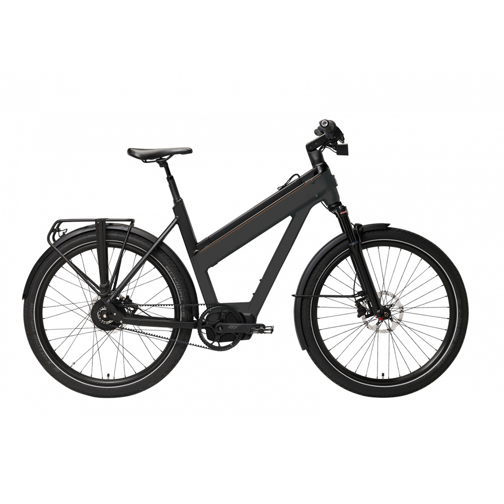 Removable Battery Electric Mountain Bike All terrain Off Road Bike Dirt Bike With 27.5'' Fat Tire Mid Mottor Luggage Carrier