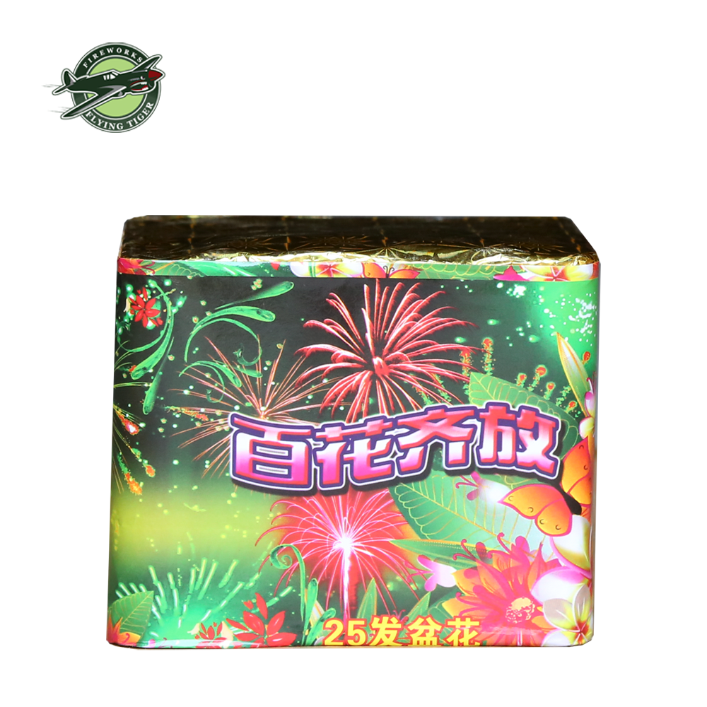 Fireworks Cake Professional New Model Customized Cake Fireworks 200g Cake