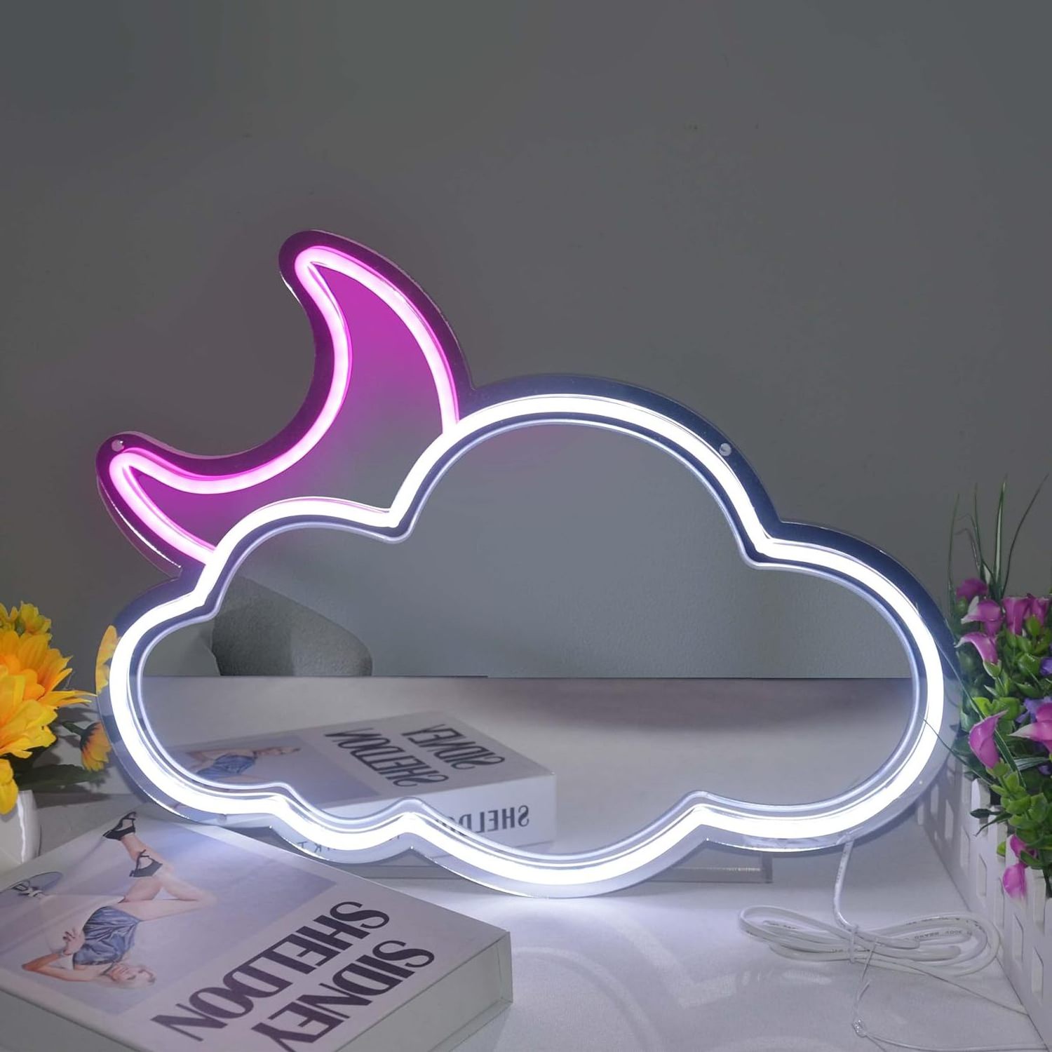 LED Neon Lights Mirror Lively White Cloud Pink Moon Unique Room Decor Adjustable Brightness USB-Powered Home Decor