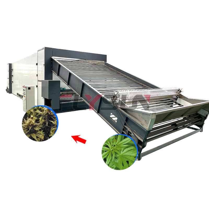 Continuous Cannabishemp Herbs Dryer Leaves Dryer Large Capacity Hot Air Hemp Drying Machine