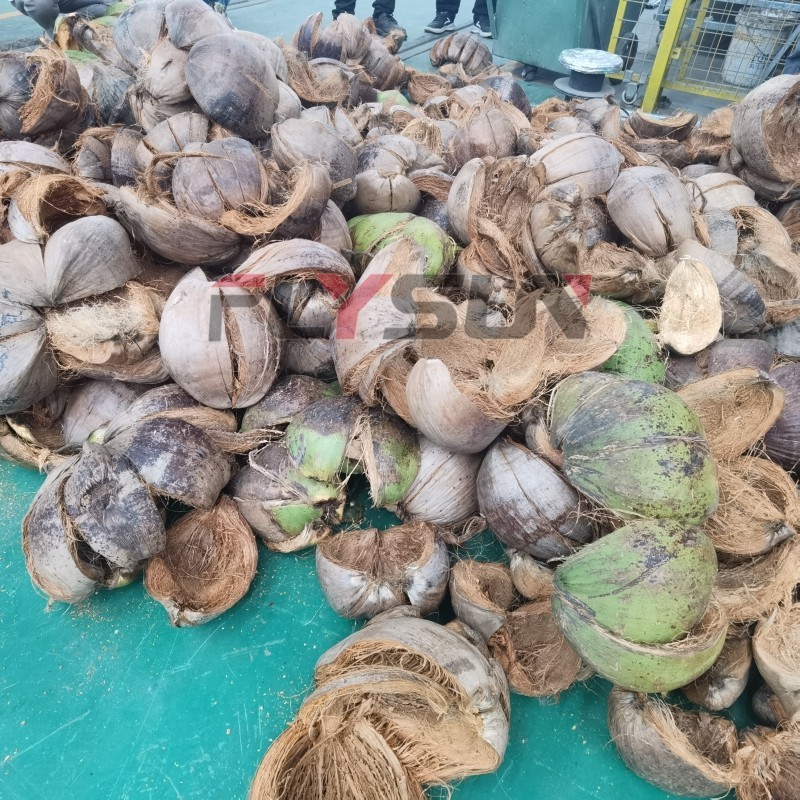 Coconut shell husk shredder machine chips coco peat grow machine coco peat crushing machine