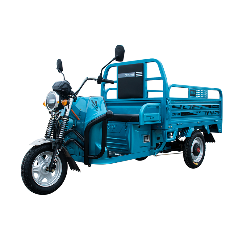 2022 hot sale 3 wheel electric express tricycle cargo bike/food delivery cargo tricycle /electric tricycle