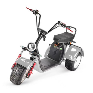 Fat Tire EEC Dual motor swing style snow off-road tire E Scooter Citycoco 3 Wheel Electric Scooter Powerful Electric Scooters