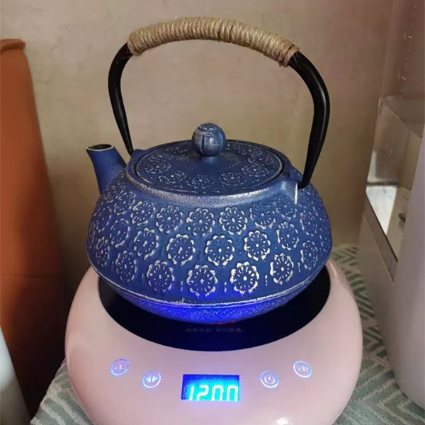 Factory supply Chinese cast iron tea pot with good quality Japanese style iron kettle