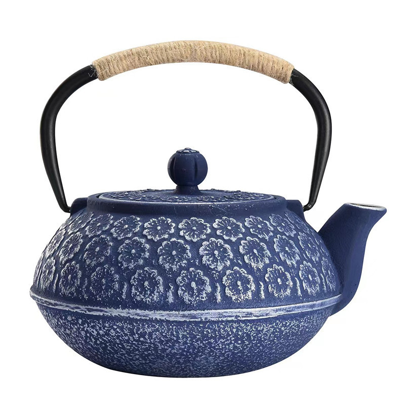 Factory supply Chinese cast iron tea pot with good quality Japanese style iron kettle