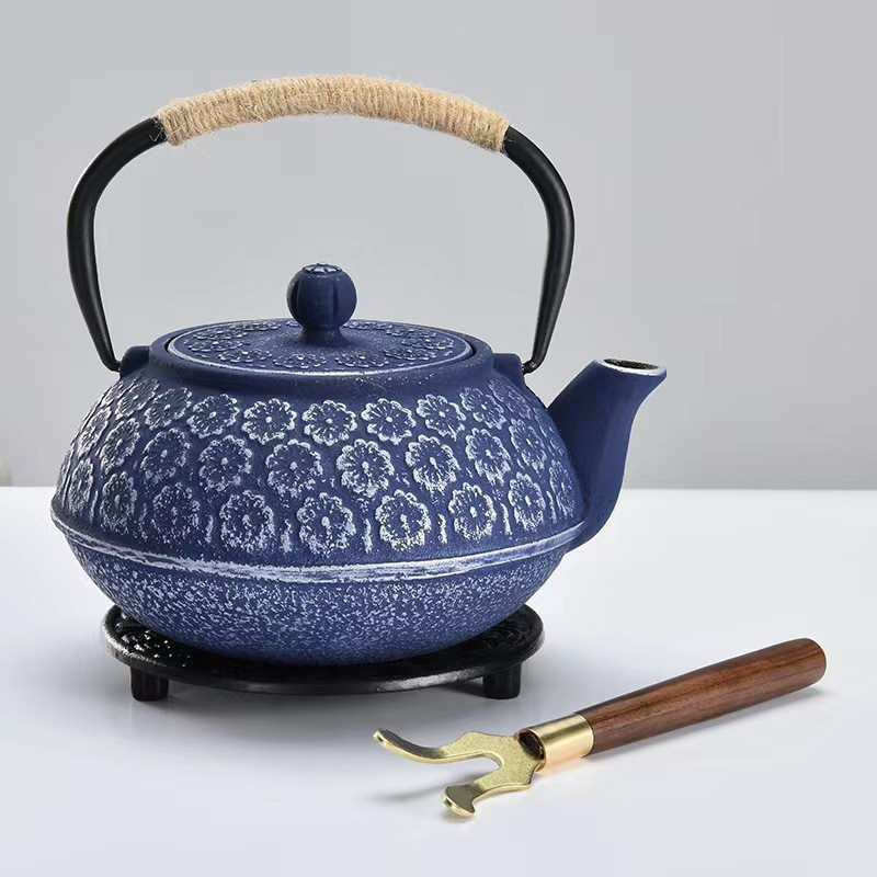 Factory supply Chinese cast iron tea pot with good quality Japanese style iron kettle