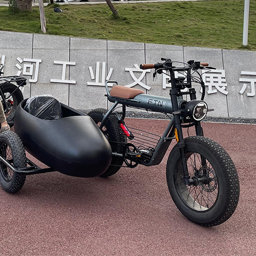 Motorcycle And Sidecar Factory 2023 New Electric Bikes For Men Develop The Sidecar