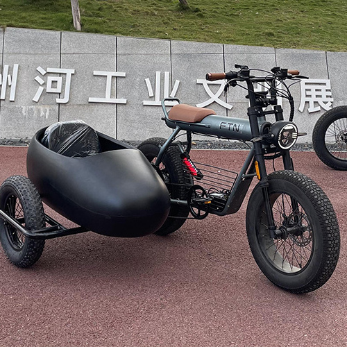 Motorcycle And Sidecar Factory 2023 New Electric Bikes For Men Develop The Sidecar