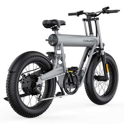 COSWHEEL T20 1000W Fat Vintage Electric Bicycle Side Car Fat Tyre Pedelec E Bike 48v 750w for Beach Sand Sidecar Ebike