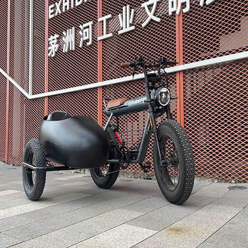 Motorcycle And Sidecar Factory 2023 New Electric Bikes For Men Develop The Sidecar