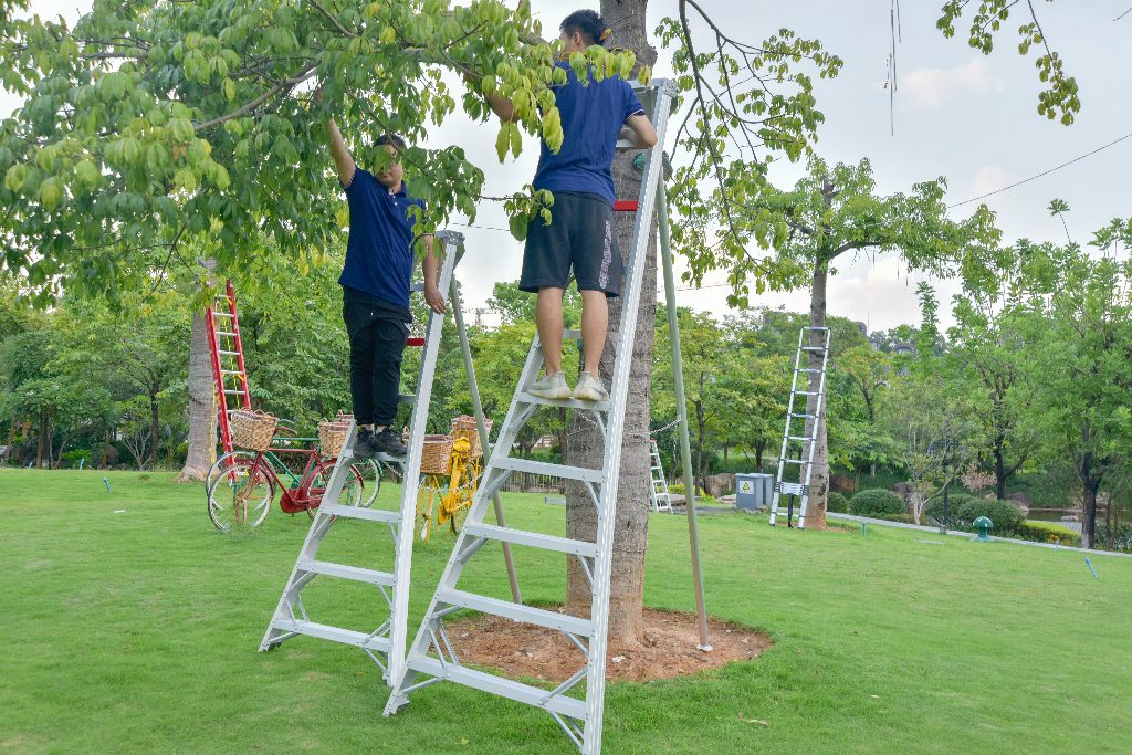 EN131 Double Support Adjustable Escalera de aluminio Fruit Picking Orchard Harvest Tripod Fruit Ladder Aluminum Ladder