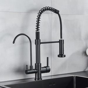 Black Filtered Kitchen Water Filter Kitchen Faucets Dual Spout Filter Faucet Mixer Water Purification Water Crane For Kitchen