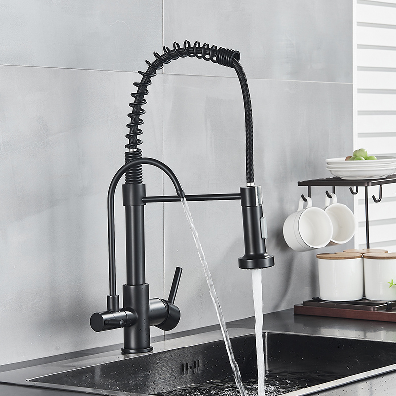 Black Filtered Kitchen Water Filter Kitchen Faucets Dual Spout Filter Faucet Mixer Water Purification Water Crane For Kitchen