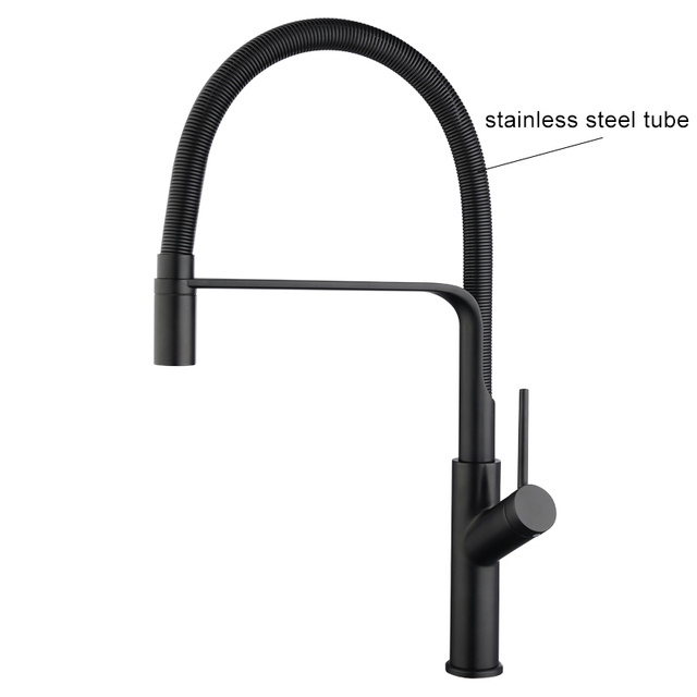 Clean Water Kitchen Faucet with Sprayer Gooseneck Pull Down Sink Mixer Solid Brass 360 Degree Rotation 3 Way Water Filter Taps