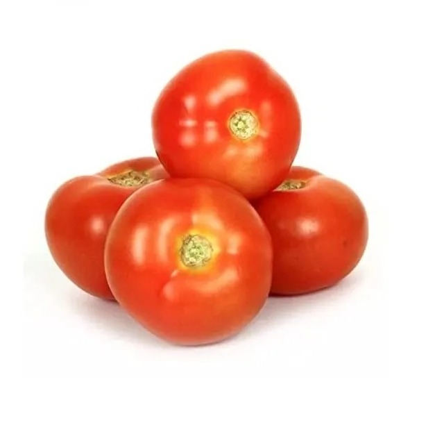 Fresh Tomato with Natural Red Best quality for wholesale / Cherry Tomato | Organic Fresh Tomatoes