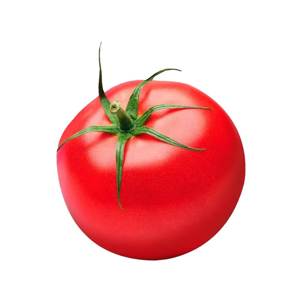 Fresh Tomato with Natural Red Best quality for wholesale / Cherry Tomato | Organic Fresh Tomatoes