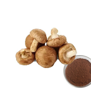 2024 Hot-Selling Organic Nutritional Mushroom Extract Beta Glucan/Polysaccharides Lentinan Powder Shiitake Mushroom Extract