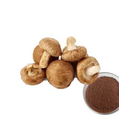 2024 Hot-Selling Organic Nutritional Mushroom Extract Beta Glucan/Polysaccharides Lentinan Powder Shiitake Mushroom Extract