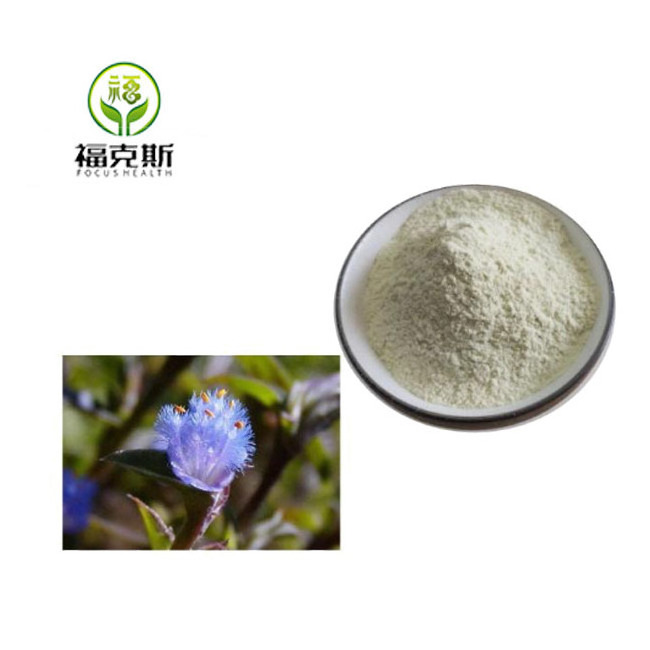 Private Label Ecdysone Cyanotis Vaga Extract Beta Ecdysterone Powder