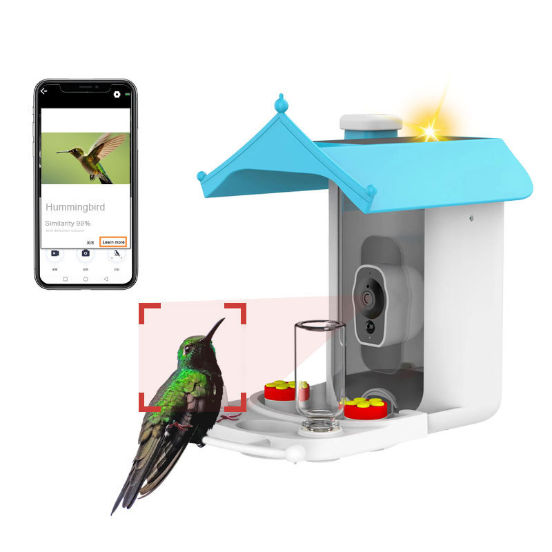 Good Sale High Quality Outdoors Springtime Hanging Automatic Bird Camera Feeder Battery