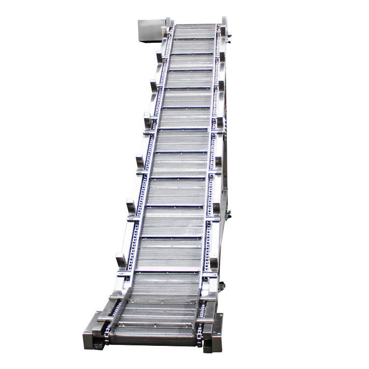 Belt conveyor washing machine iron mesh belt stainless steel conveyor belt for vegetable fruit Focus Machinery 2023 new product