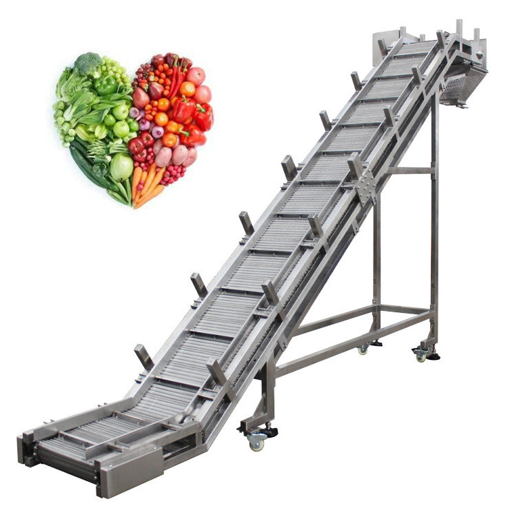 Belt conveyor washing machine iron mesh belt stainless steel conveyor belt for vegetable fruit Focus Machinery 2023 new product