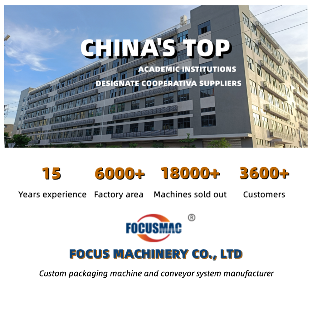 Focus Machinery Made 304 Stainless Steel Wire Mesh plate customized Belt Conveyor