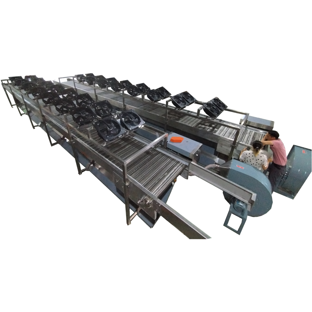 2023 new design cooling conveyor belt wire mesh belt conveyor stainless steel conveyor belt with fans system Focus Machinery