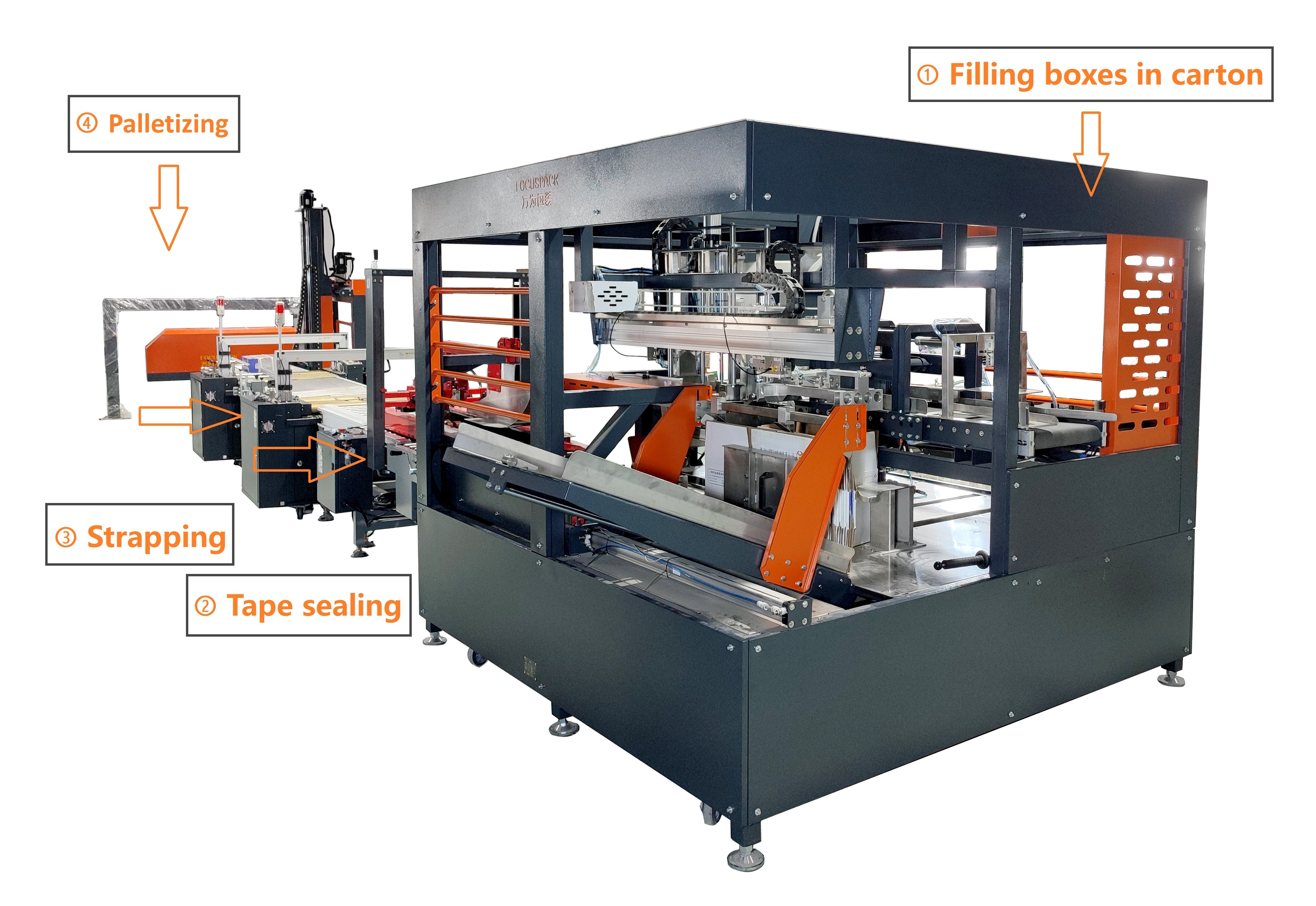 Focus Machinery full automatic cartoning machine carton packaging machine