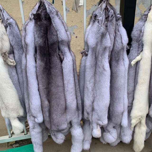 High quality soft Fur Skin Wholesale Supplier Custom Fluffy Luxury Genuine Natural Blue Fox Fur Skins