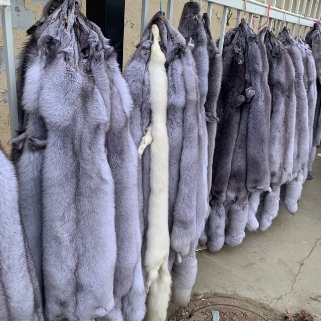 High quality soft Fur Skin Wholesale Supplier Custom Fluffy Luxury Genuine Natural Blue Fox Fur Skins