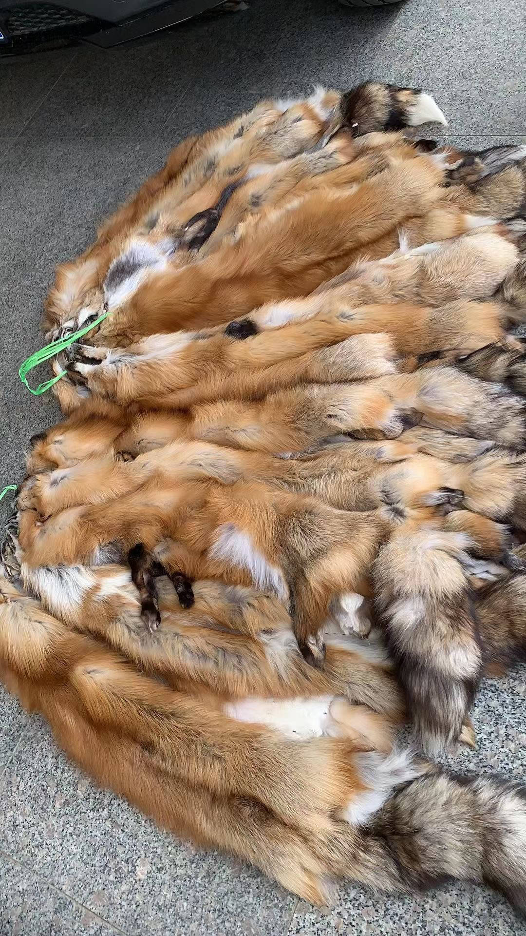 High quality natural white fox fur and raccoon fur skin pelt Animal fur wholesale