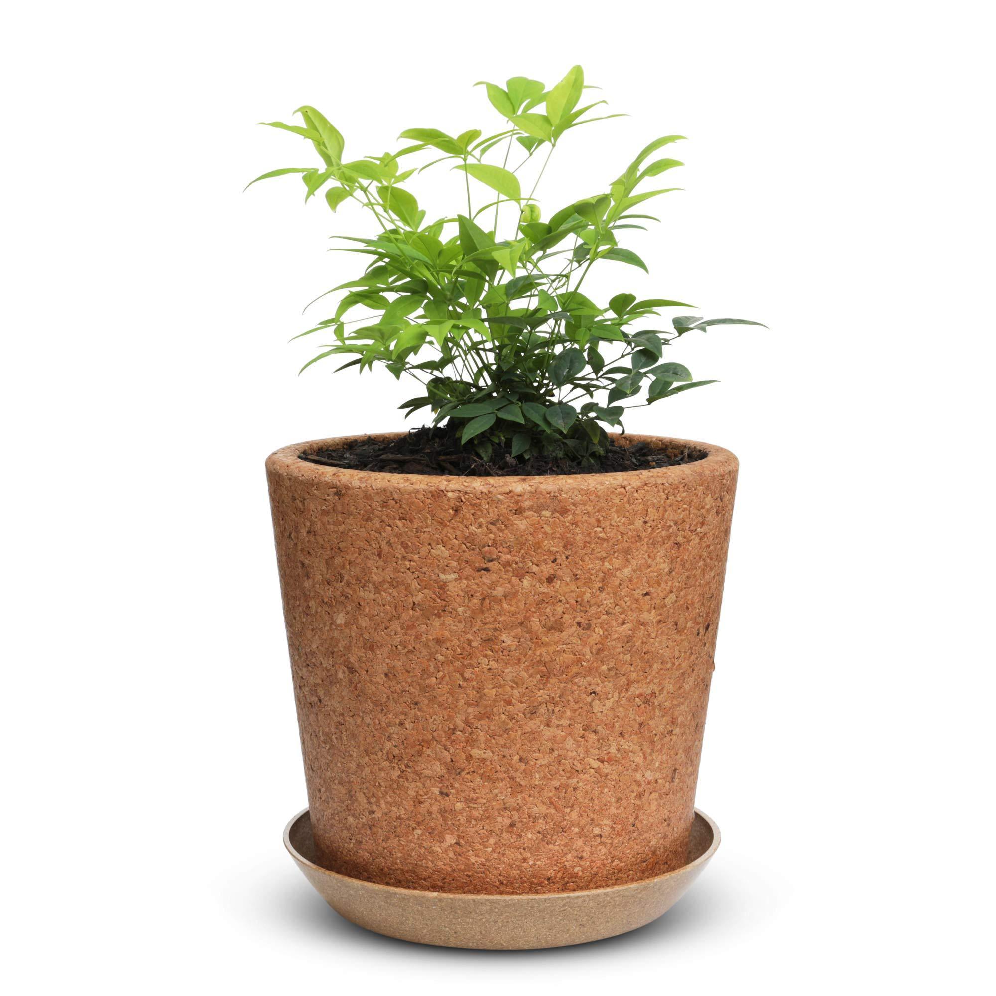 Cork Flower Pot with Drainage Eco-Friendly Natural Pot for Plants- Multi Use Indoor Planter - Gardening Gift