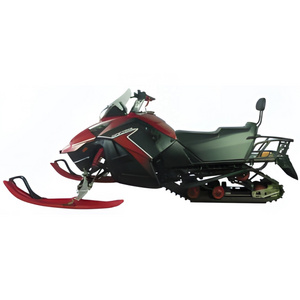 WIDEAL WD150 Amusement Ski Vehicle 200CC Electric Snowmobile for Adults