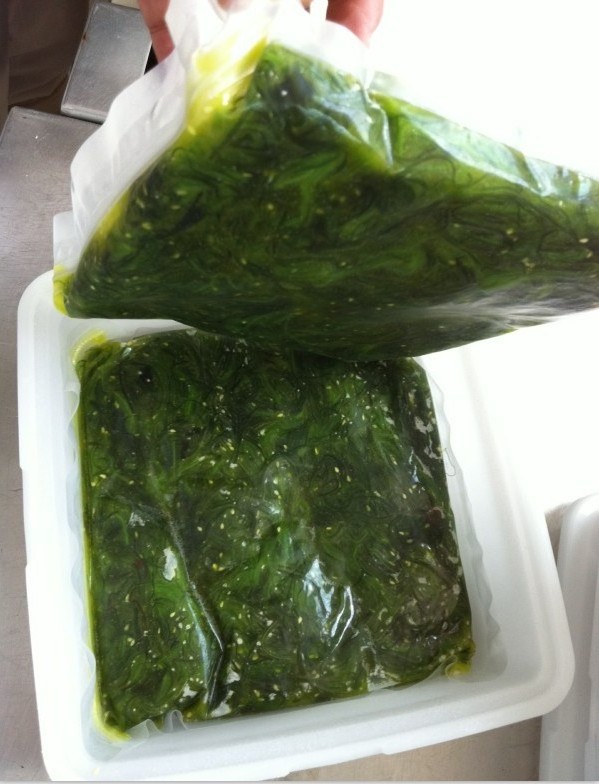 HN Hot Sale High Quality Seaweed Delicious flavour wakame Slice Frozen Seaweed Salad restaurant