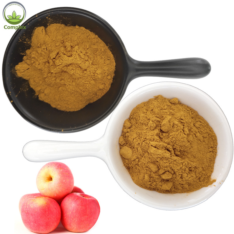 Highest selling pure  apple peel extract apple polyphenols