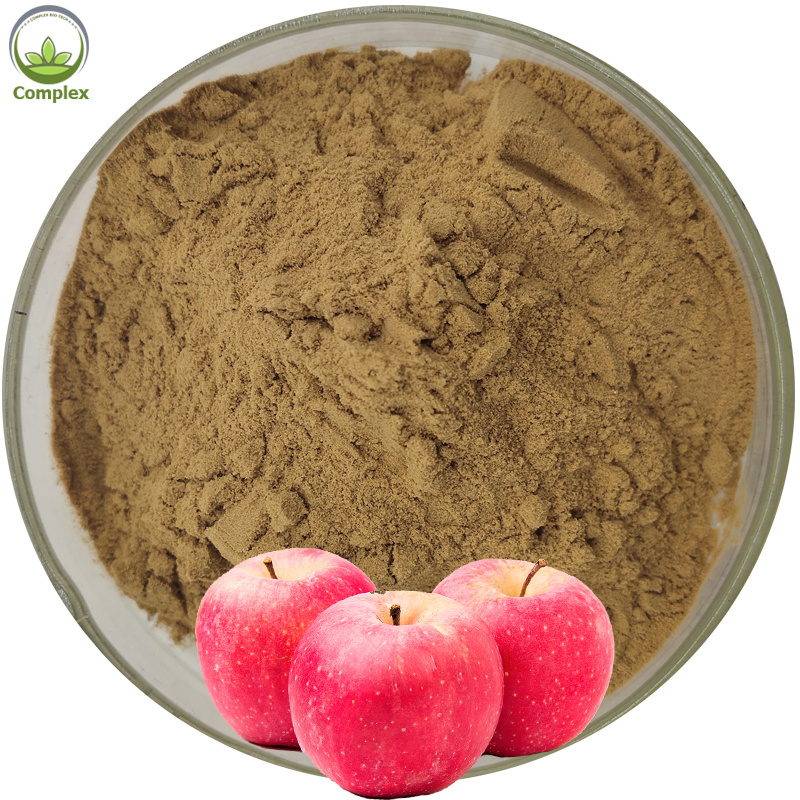 Factory supply best quality apple extract organic apple peel extract