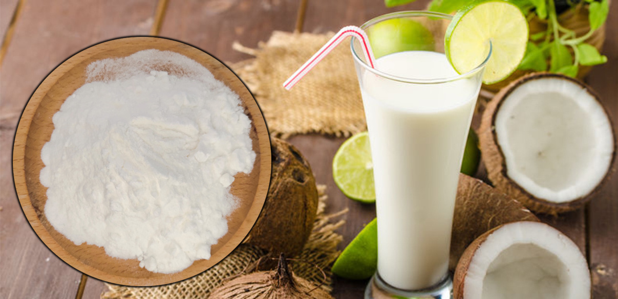 Natural organic pure powder wholesale coconut milk powder