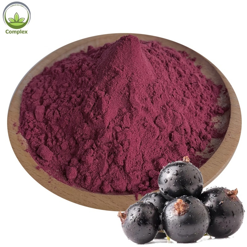 Best Selling Products Black Currant Fruit Flavor Juice Concentrate Powder